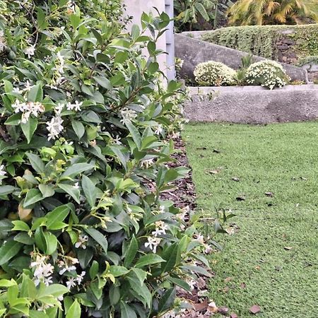 Moradia Stephanie Funchal  Bagian luar foto